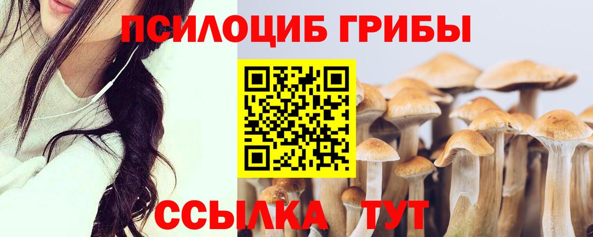 Чебоксары  даркнет сайт  Вход с VPN  Галлюциногенные грибы мицелий 